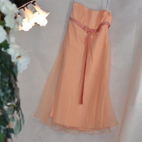 Alfred Angelo SZ 14 Organza-type Lined Strapless Dress - Picture 3 of 13